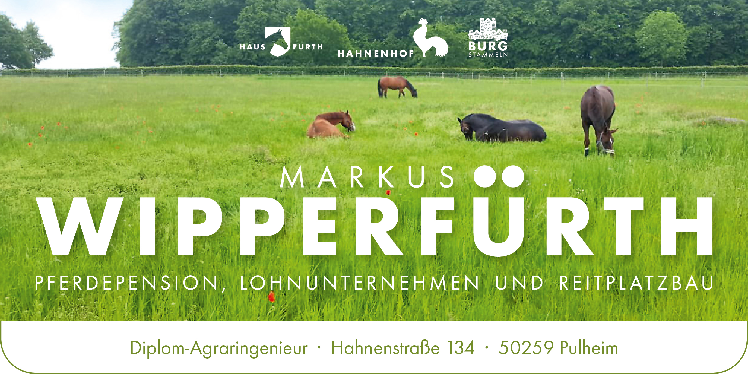 Markus Wipperfürth Logo