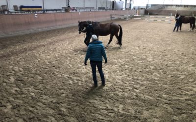 Kurs – Klassische Handarbeit am 15./16.01.2022