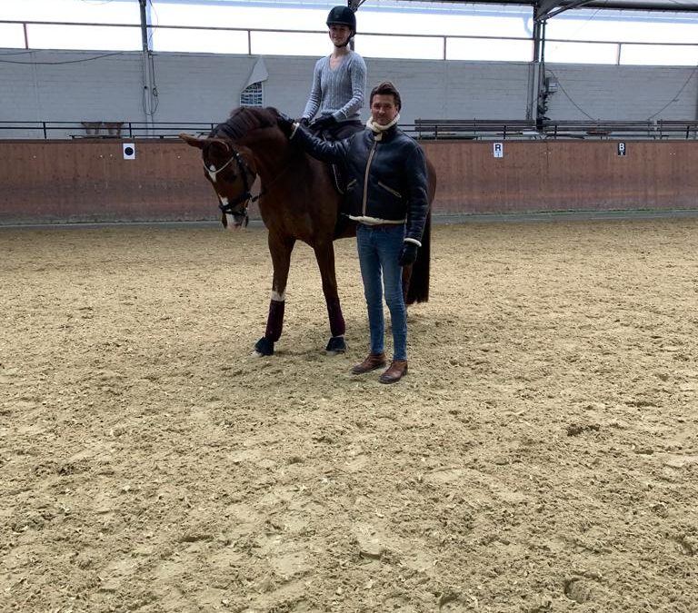 Resümee: Dressurlehrgang bei Grand Prix- Reiter Tim Keersmaekers am 28. + 29.01.23